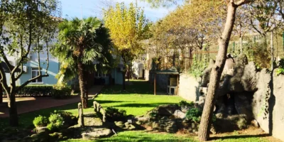 Ein gepflegter amerikanischer Garten mit grüner Rasenfläche, Bäumen und Palmen vor einem Wohnhaus, das eine idyllische Atmosphäre ausstrahlt.